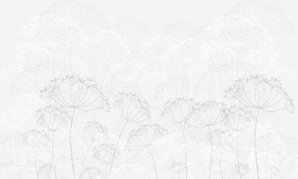 Wit bloemenpatroon Wit bloemenpatroon