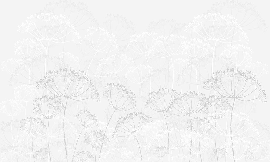 Wit bloemenpatroon Wit bloemenpatroon
