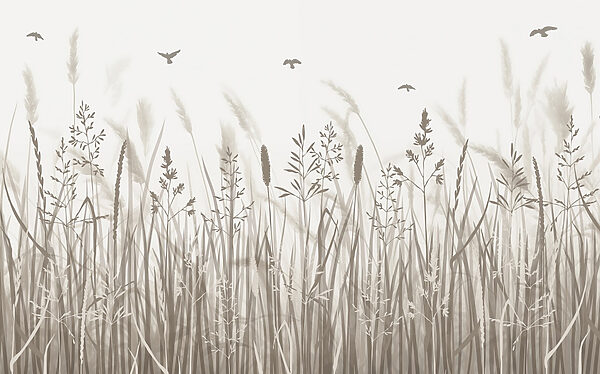 Grasveld met vliegende vogels Grasveld met vliegende vogels