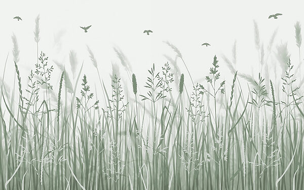 Grasveld met vliegende vogels Grasveld met vliegende vogels