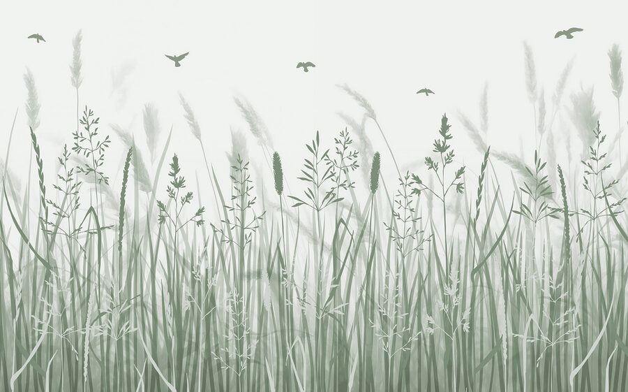 Grasveld met vliegende vogels Grasveld met vliegende vogels