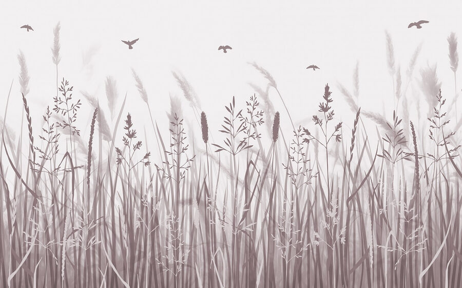 Grasveld met vliegende vogels