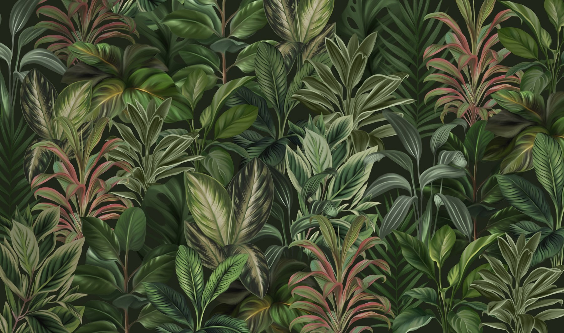 Wallpaper with many different types of leaves