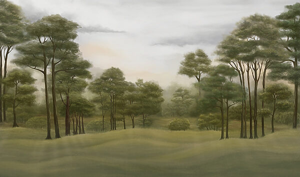 Landschap met bomen en gras Landschap met bomen en gras