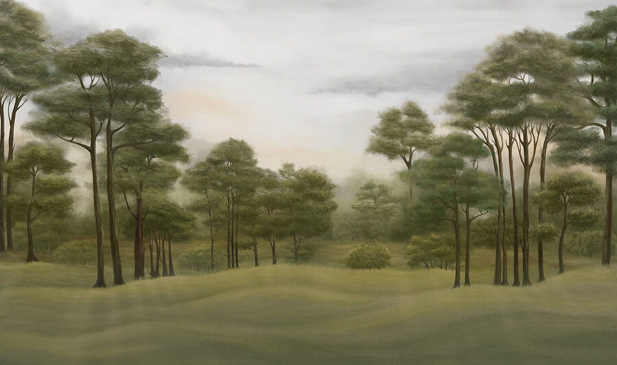 Landschap met bomen en gras