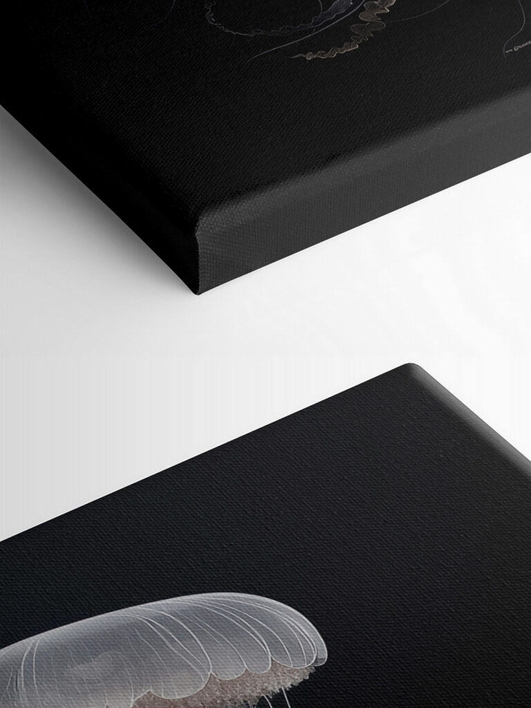 Jellyfish with long tentacles Jellyfish with long tentacles