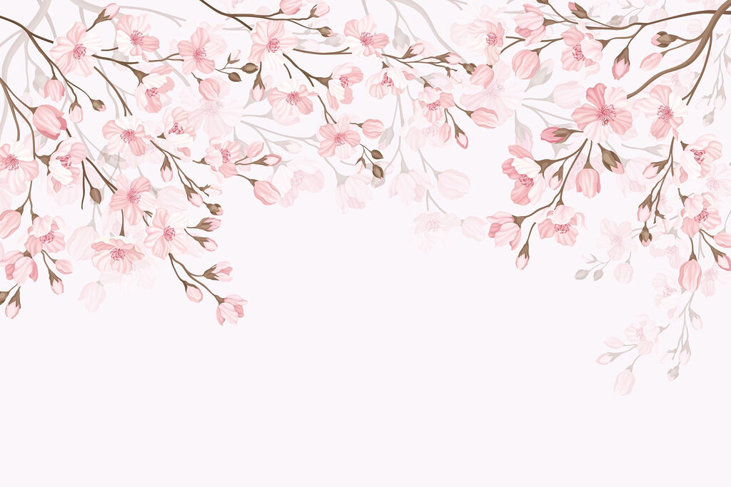 Roze bloemen op een witte achtergrond Roze bloemen op een witte achtergrond