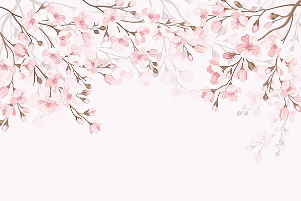 Roze bloemen op een witte achtergrond Roze bloemen op een witte achtergrond