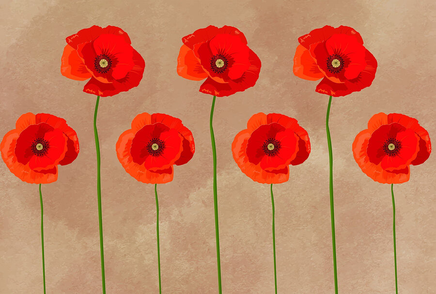 Groep rode bloemen