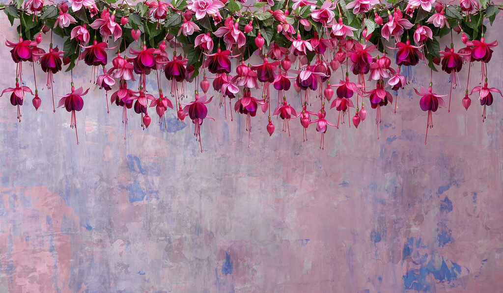 Groep roze bloemen Groep roze bloemen