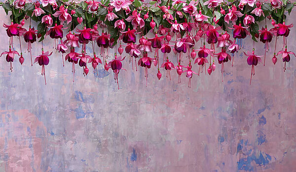 Groep roze bloemen Groep roze bloemen