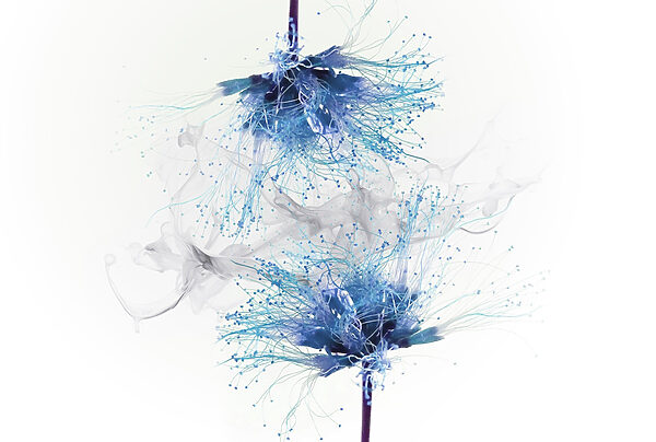 Blauwe bloemen met witte inkt in de lucht Blauwe bloemen met witte inkt in de lucht