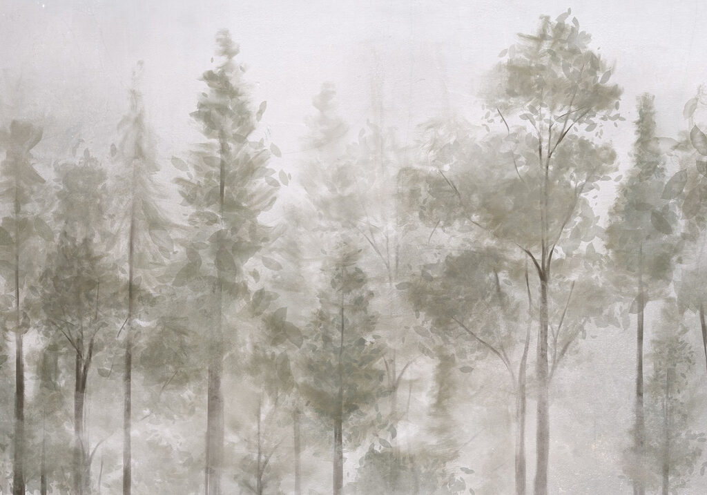 Groep bomen in mist Groep bomen in mist
