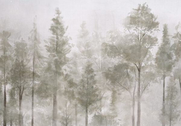 Groep bomen in mist Groep bomen in mist