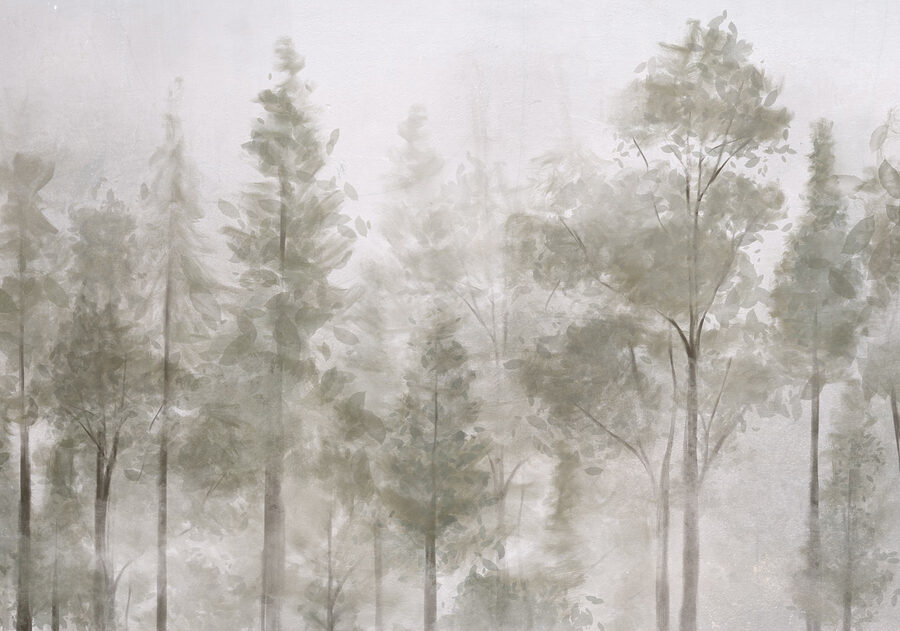 Groep bomen in mist