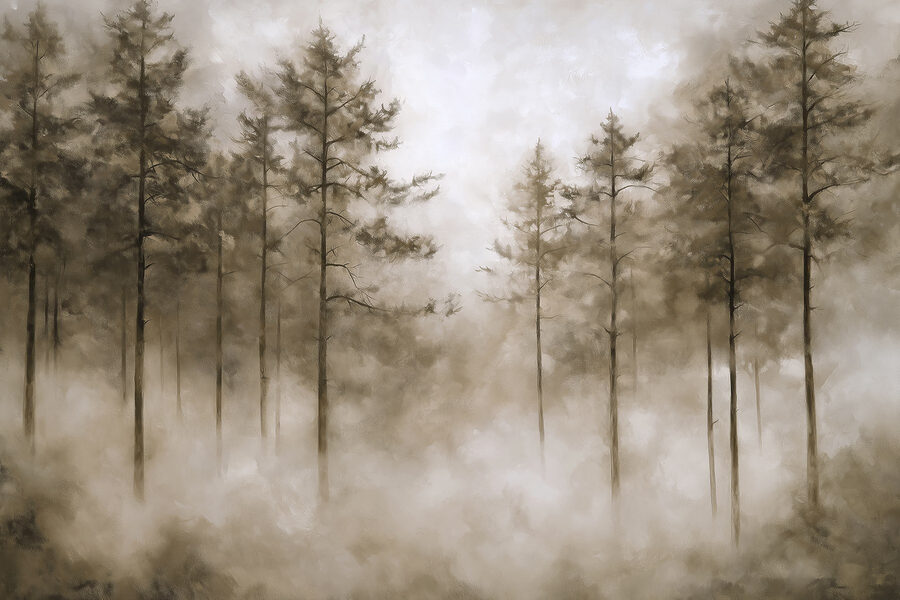 Mistig bos met bomen