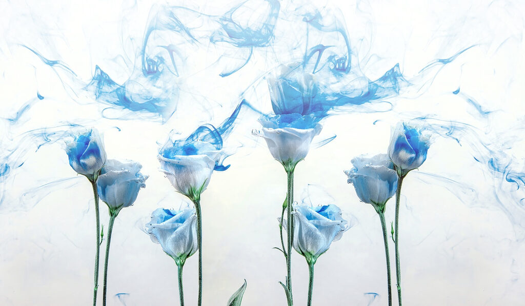 Groep bloemen met blauwe inkt in water Groep bloemen met blauwe inkt in water