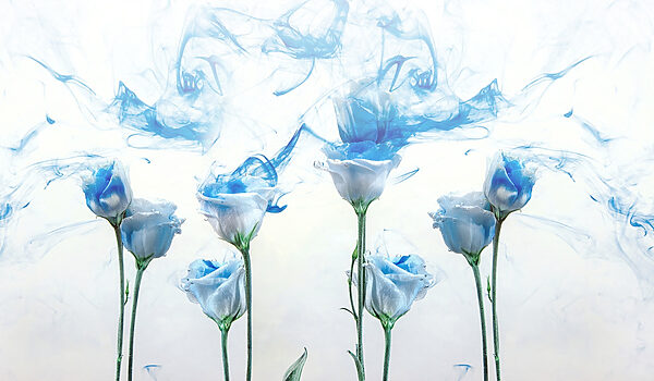 Groep bloemen met blauwe inkt in water Groep bloemen met blauwe inkt in water