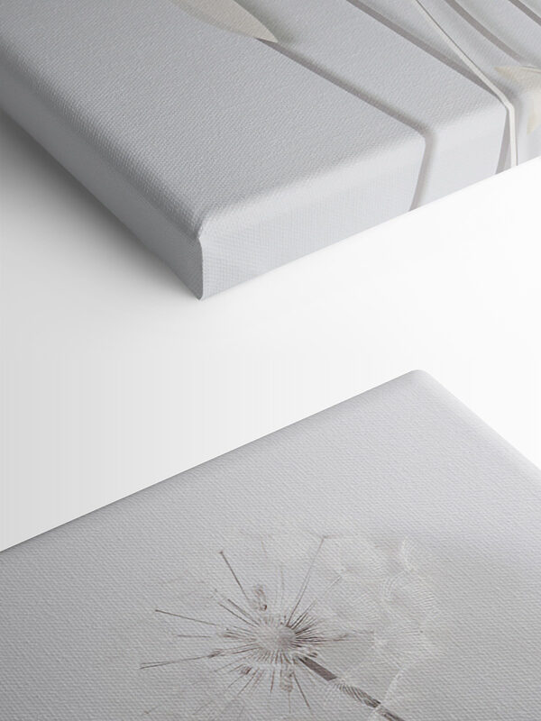 Delicate bloemen op slanke stelen Delicate bloemen op slanke stelen