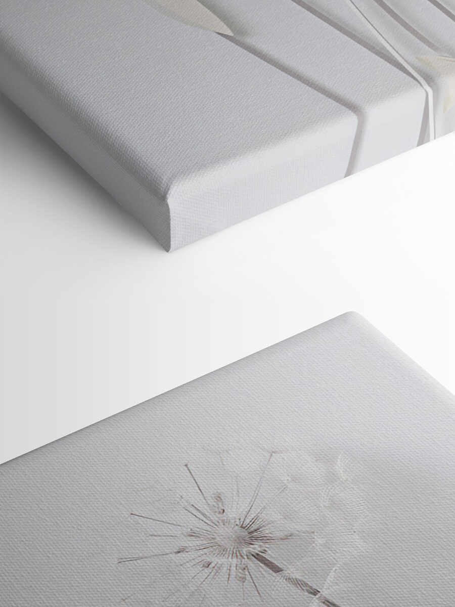 Delicate bloemen op slanke stelen