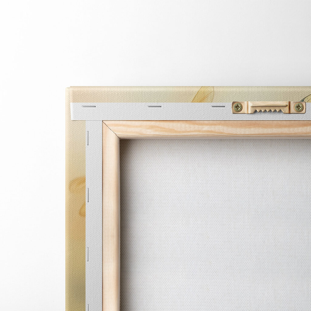 Dragonfly on a flower Dragonfly on a flower