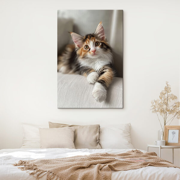 Kat liggend op een bank Kat liggend op een bank