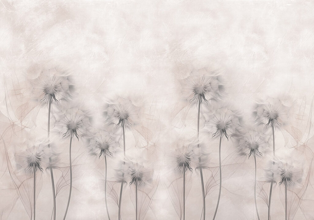 Groep paardenbloemen op witte achtergrond Groep paardenbloemen op witte achtergrond