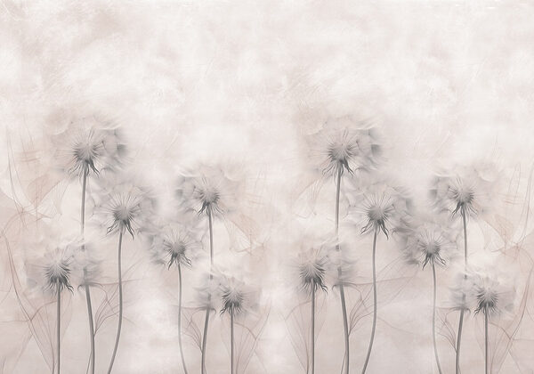 Groep paardenbloemen op witte achtergrond Groep paardenbloemen op witte achtergrond