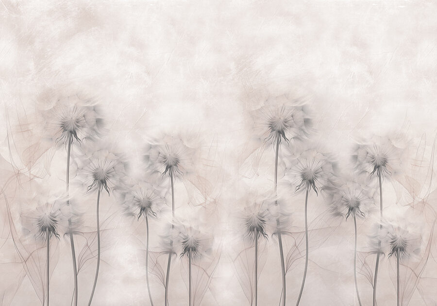 Groep paardenbloemen op witte achtergrond Groep paardenbloemen op witte achtergrond