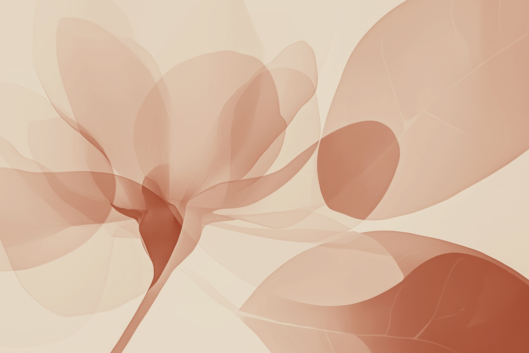 Soft petals in gentle hues Soft petals in gentle hues