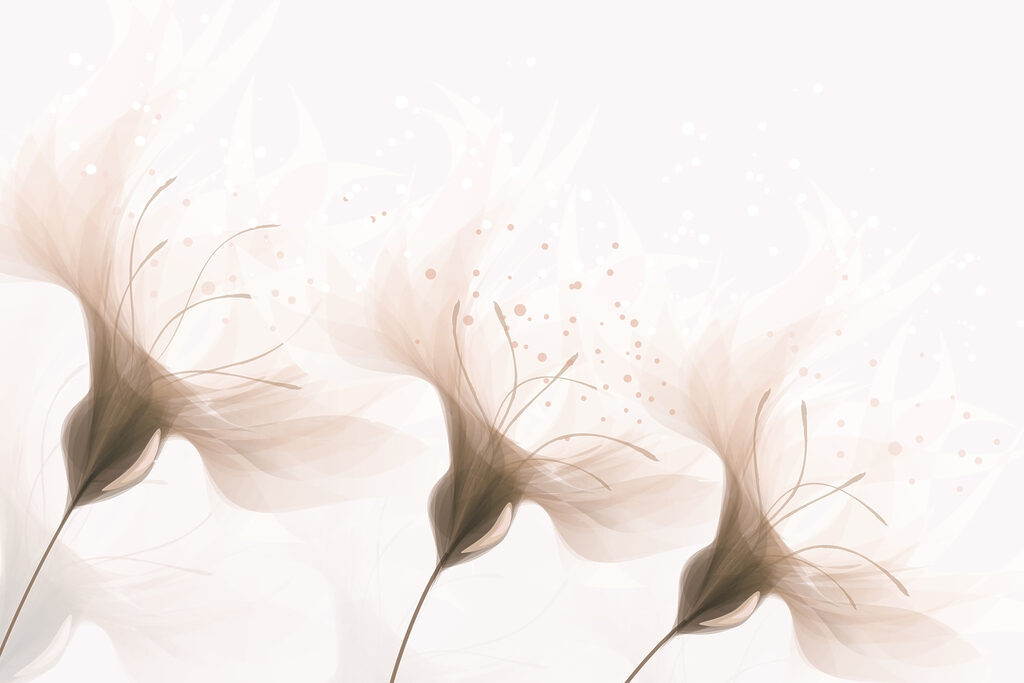 Soft petals in gentle hues