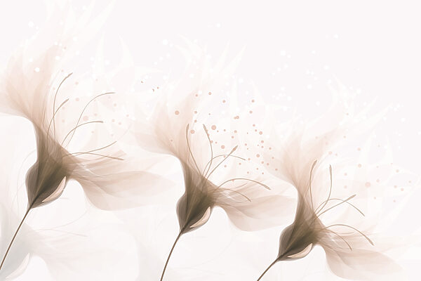 Soft petals in gentle hues