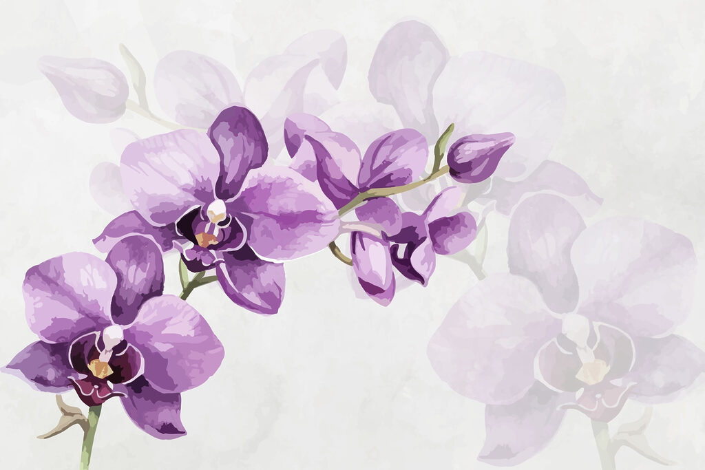 Paarse bloemen op een tak Paarse bloemen op een tak