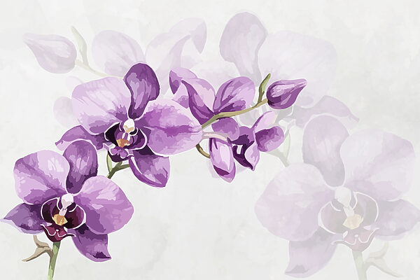 Paarse bloemen op een tak Paarse bloemen op een tak