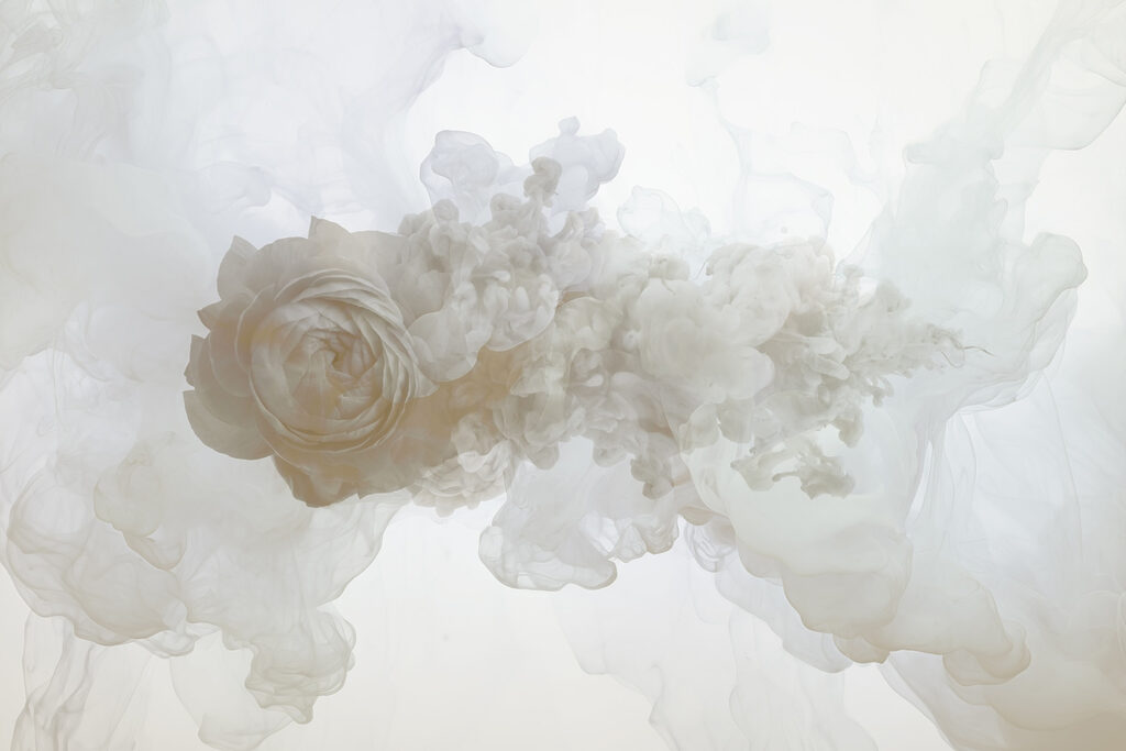 Witte bloem in water Witte bloem in water