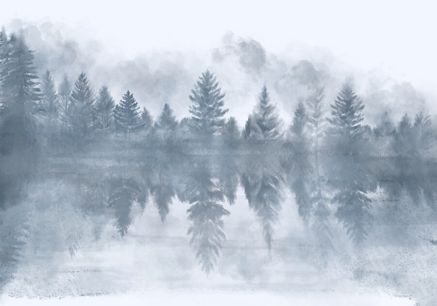 Fotobehang Mistig bos met bomen weerspiegeld in water - Afbeelding 7