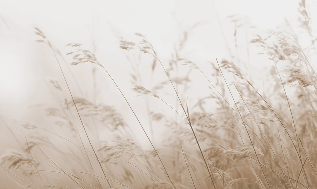 Fluisteringen van de natuur in sepiatinten Fluisteringen van de natuur in sepiatinten