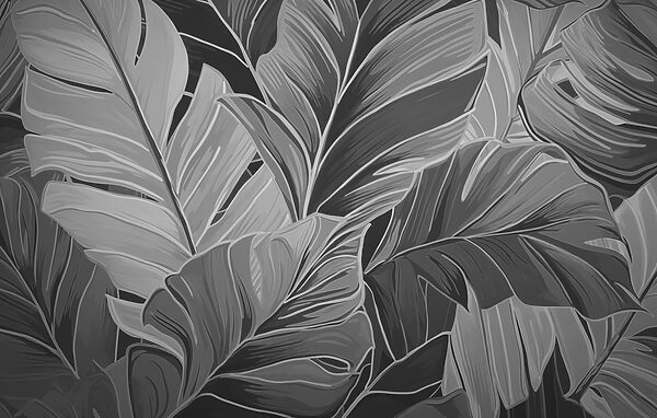 Natuurlijke patronen in monochrome tinten Natuurlijke patronen in monochrome tinten