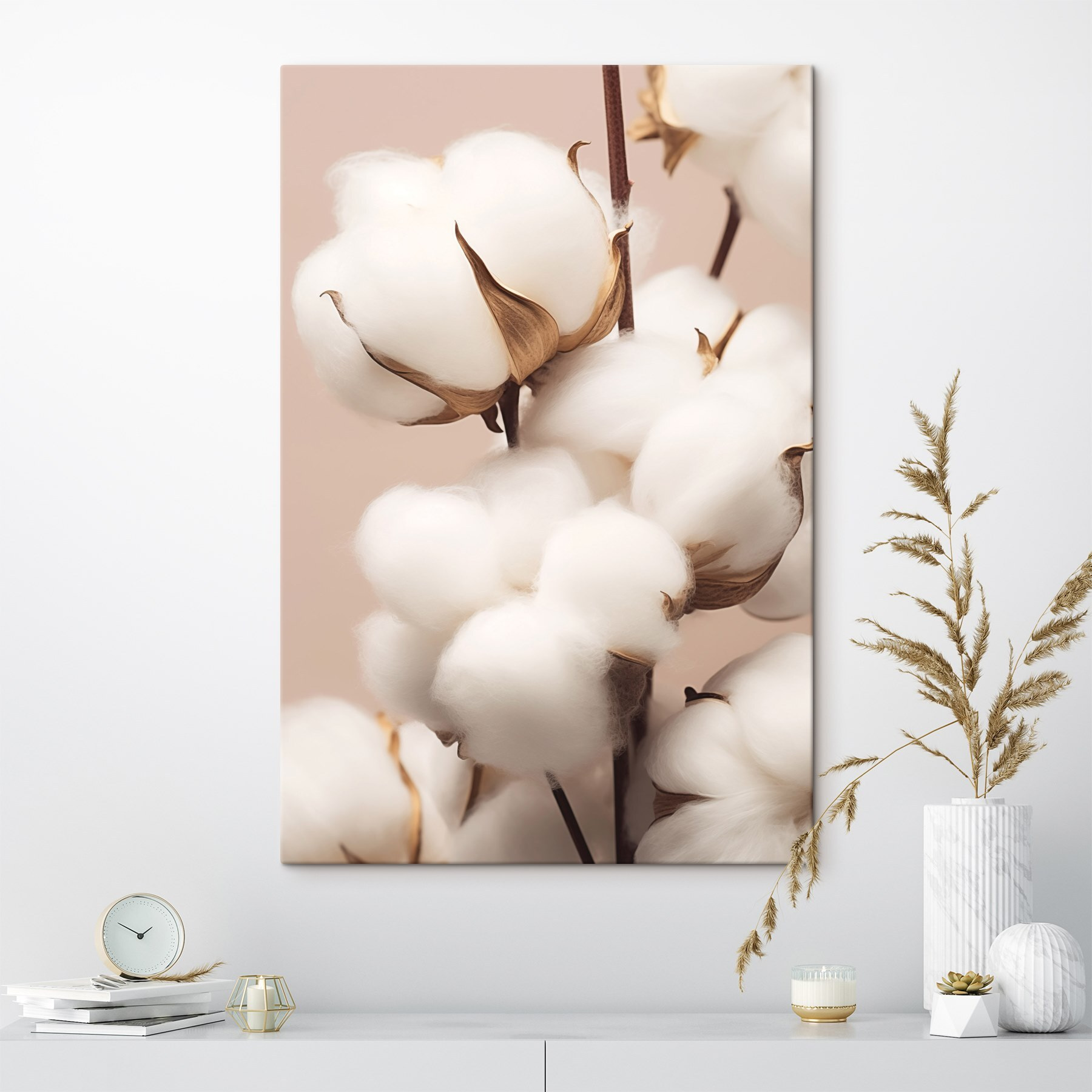 Soft cotton blooms in gentle light Soft cotton blooms in gentle light