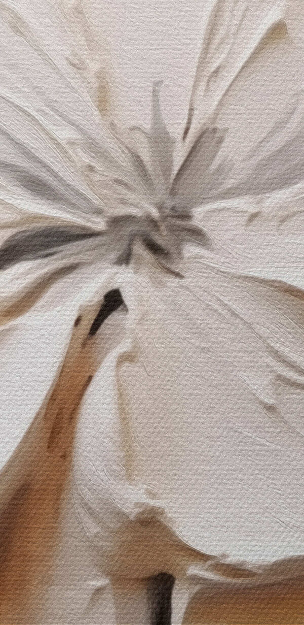 Witte bloem gesneden in een wit oppervlak Witte bloem gesneden in een wit oppervlak