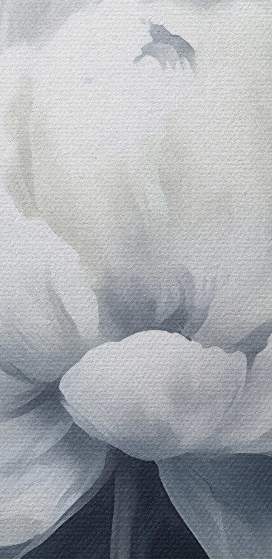 Witte bloem op blauwe achtergrond