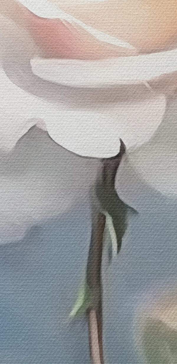Witte roos met groene bladeren Witte roos met groene bladeren
