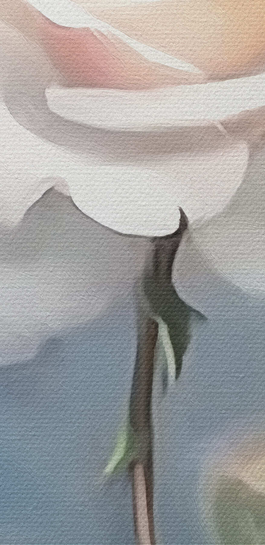 Witte roos met groene bladeren