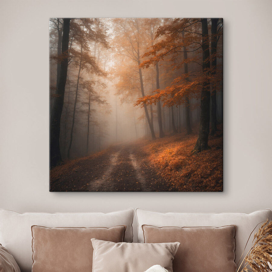 Mistig bos met bomen en bladeren