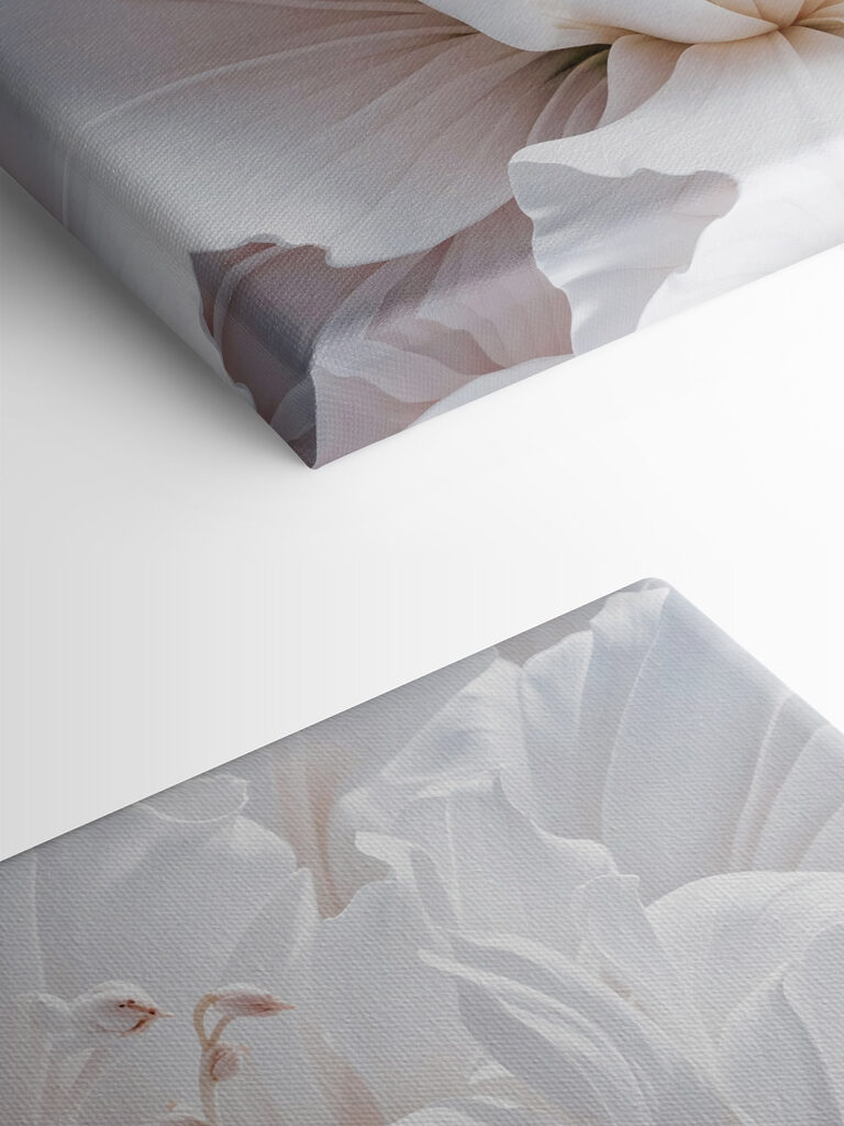 Delicate petals in soft hues Delicate petals in soft hues