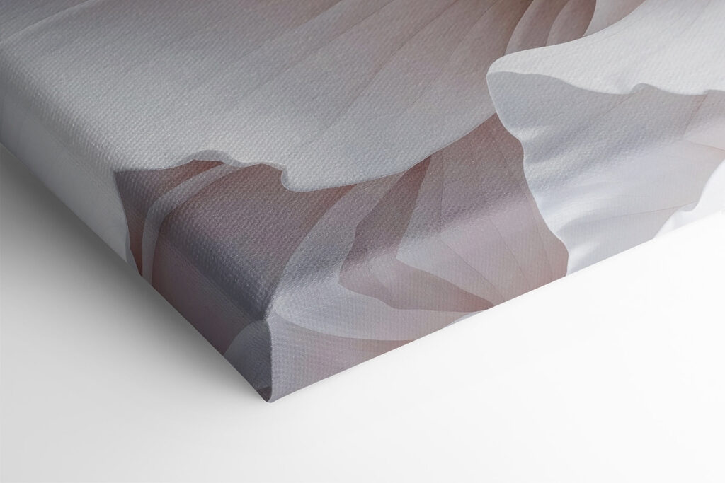 Delicate petals in soft hues Delicate petals in soft hues