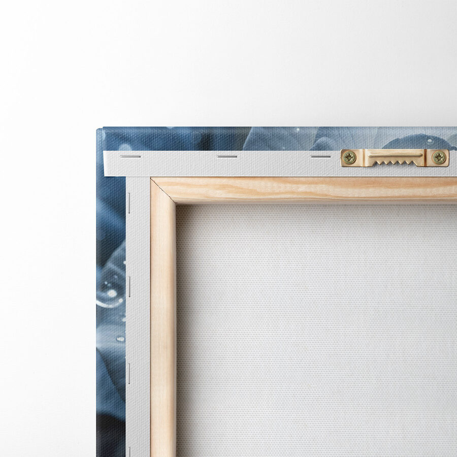 Witte roos met waterdruppels erop