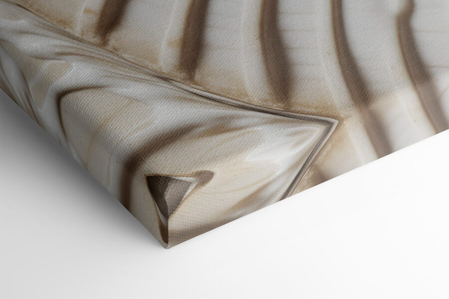 Elegant spiraalvormig schelpenpatroon prachtig weergegeven