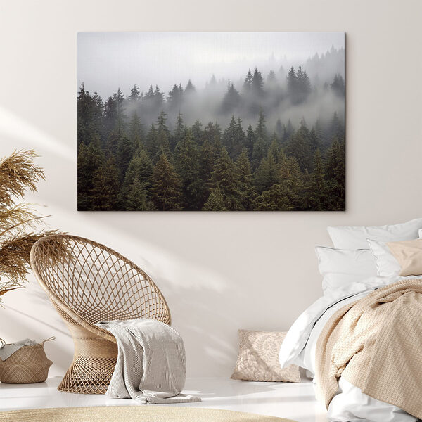 Group of trees with fog Group of trees with fog