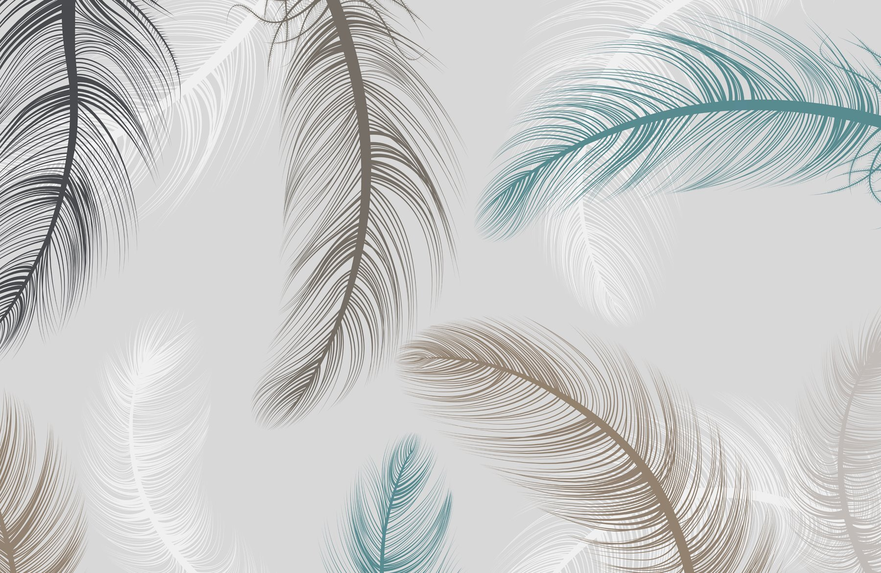 Group of feathers on a white background Group of feathers on a white background